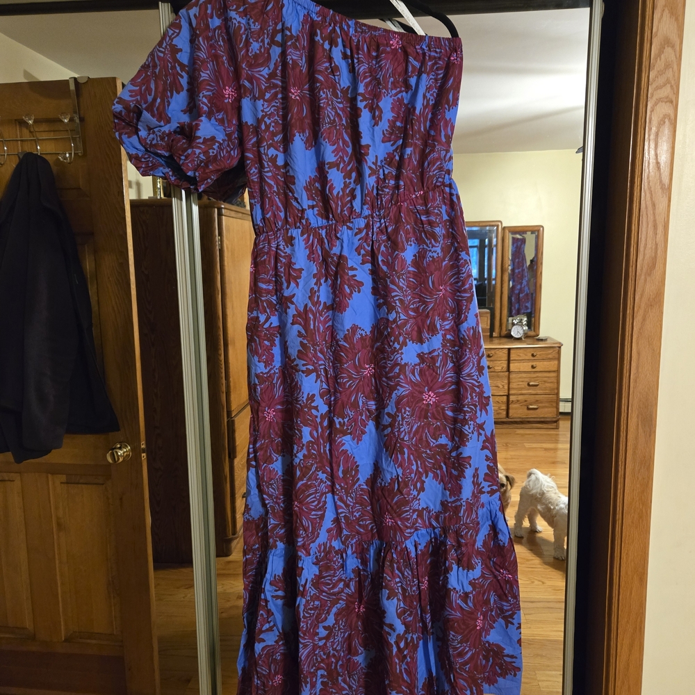 Lilly Pulitzer Blue and Burgundy Maxi Dress